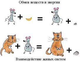 Обмен веществ