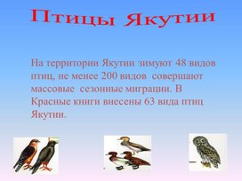 Презентация  "Птицы Якутии