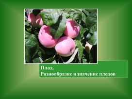 Обложка для материала Разнообразие и значение плодов