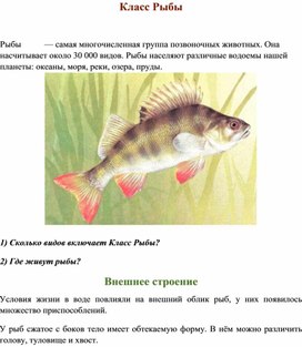 Материал к уроку биологии "Класс Рыбы. Внешнее строение" для ученика с РАС (8 класс)