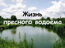 Презентация к уроку окружающего мира на тему "Жизнь в пресных водоемах",  4 класс, УМК Школа России