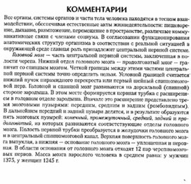 Обложка для материала материал по психофизиологии