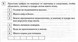 Обложка для материала окружающий мир 4 класс итоговая работа_10