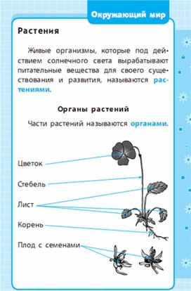 Закончите схему окружающий мир