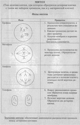 Материал к урокам  биологии