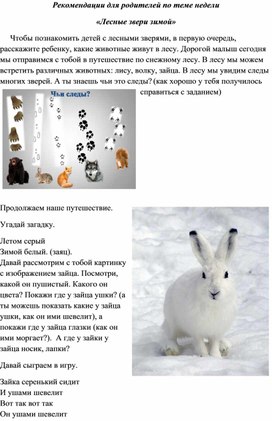 Обложка для материала Рекомендации для родителей как познакомить ребенка с лесными животными