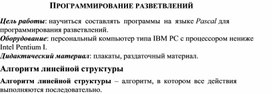Обложка для материала ПРОГРАММИРОВАНИЕ РАЗВЕТВЛЕНИЙ