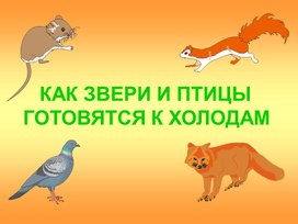 Презентация Как животные готовятся к зиме