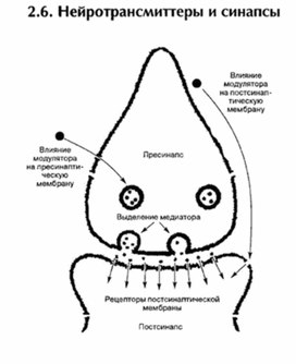 Обложка для материала материал по психофизиологии
