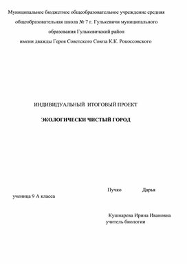 Индивидуальный проект по теме: «Экологически чистый город»