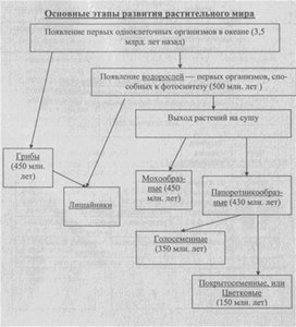 Материал к урокам  биологии