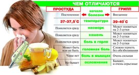 Обложка для материала чем отличаются простуда и грипп