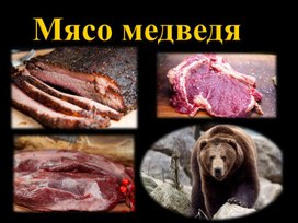 Презентация по теме :Мясо диких животных.Мясо медведя.