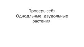 Проверь себя: "Однодльные, Двудольные растения. Формула цветка."