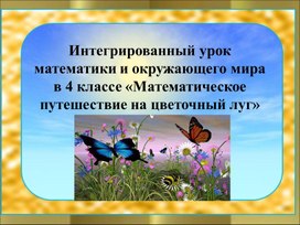 Интегрированный урок математики и окружающего мира в 4 классе «Математическое путешествие на цветочный луг»