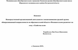 Непосредственной организованной деятельности с воспитанниками средней группы общеразвивающей направленности по образовательной области «Познавательное развитие» на тему: «Свойства соли»