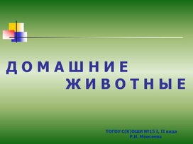 Обложка для материала Презентация "Домашние животные" (Начальная школа)