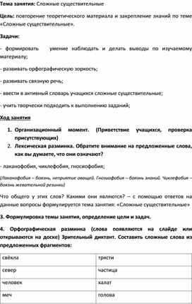 Обложка для материала Конспект учебного занятия "Сложные существительные"
