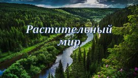 Обложка для материала Презентация "Растительный мир Пермского края"