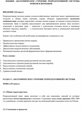 Обложка для материала ЛЕКЦИЯ: АНАТОМИЧЕСКОЕ СТРОЕНИЕ РЕПРОДУКТИВНОЙ СИСТЕМЫ  ХРЯКОВ И ЖЕРЕБЦОВ.