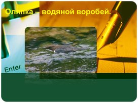 Обложка для материала оляпка изложение