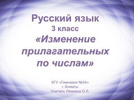 Презентация к уроку руского языка 3 класс "Изменение прилагательных по числам"