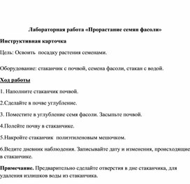 Лабораторная работа "Прорастание семян фасоли"