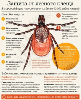 Обложка для материала защита от лесного клеща