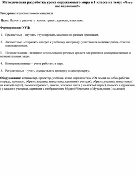 Методическая разработка урока окружающего мира в 1 классе на тему: «Что у нас под ногами?»