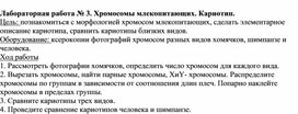 Обложка для материала Лабораторная работа № 3. Хромосомы млекопитающих. Кариотип.