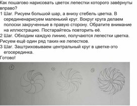 Как пошагово нарисовать цветок лепестки которого завёрнуты вправо?