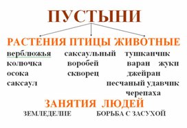 Обложка для материала Окружающий мир для начальных классов_схема_26