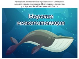 Морские млекопитающие