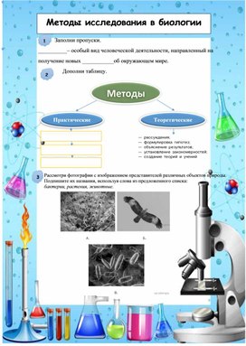 Рабочий лист на тему: "Методы исследования в биологии"