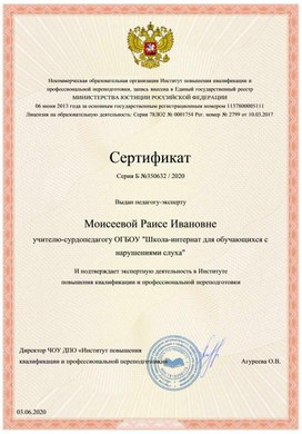 Обложка для материала Экспертная деятельность в ИПК