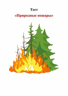 Презентация по теме "Безопасность в природной среде" - Тест "Природные пожары"