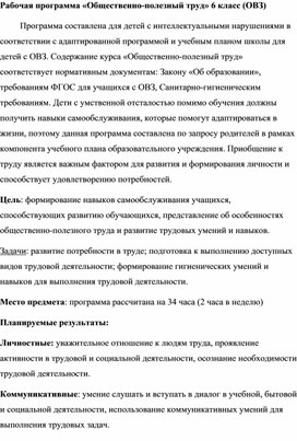 Рабочая программа "Общественно-полезный труд" 6 класс