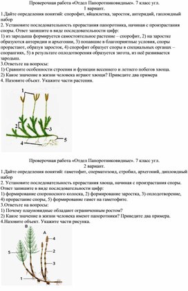 Проверочная работа для учащихся 7 класса (углублённое изучение биологии)