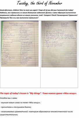 План-конспект дистанционного урока по английскому языку в 5 классе по теме "Мои вещи"