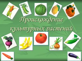 Происхождение культурных растений, 7 класс, биология