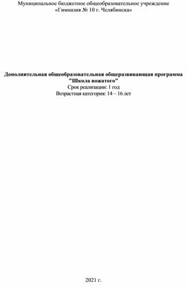 Обложка для материала Программа дополнительного образования "Школа вожатых"