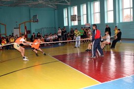 Обложка для материала День здоровья