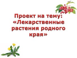 Проектная работа "Лекарственные растения Ростовской области"
