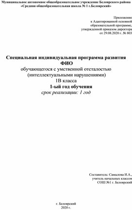 Специальная индивидуальная программа развития  обучающегося с умственной отсталостью   (интеллектуальными нарушениями) 1-ый год обучения