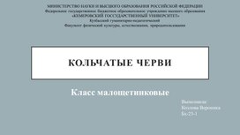 Презентация для урока биологии по теме "Кольчатые черви"