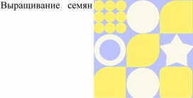 Обложка для материала Выращивание семян и фазы роста растений