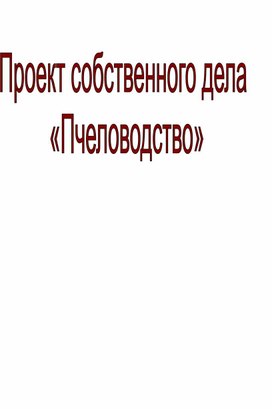 Проект собственного дела "Пчеловодство"