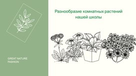 Альбом "Комнатные растения кабинета биологии"