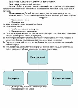 Конспект покрытосеменные растения