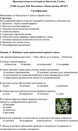 Обложка для материала «Тестовый контроль знаний по биологии в 5 классе (промежуточная аттестация)»